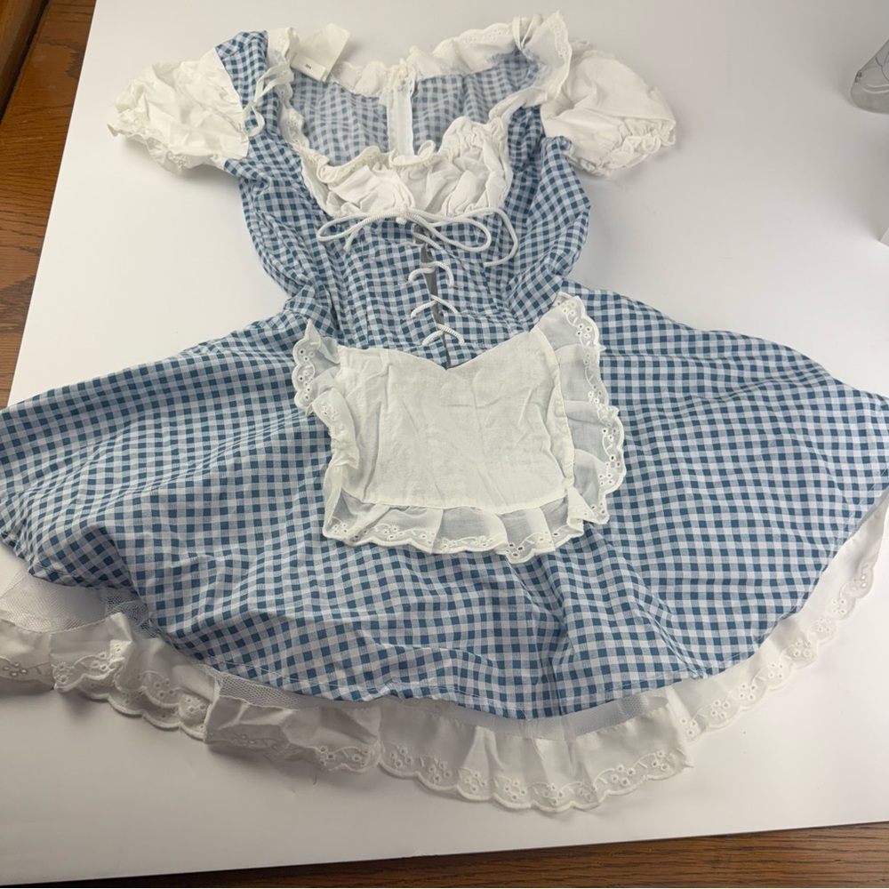 Rubie's Secret Wishes Country Girl Womens Small Blue Checked Dress Costume - Picture 2 of 8